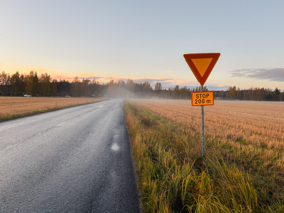 Vorfahrtsschild mit Nebel