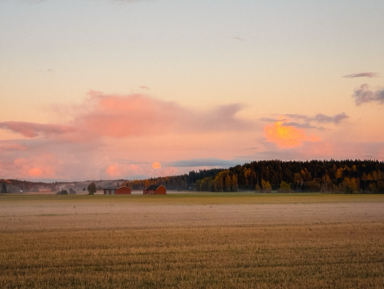 Abendhimmel über Feldern