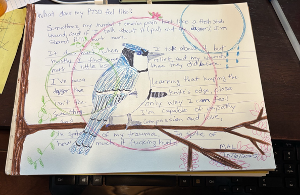 Sketch of blue jay with a dagger piercing its stomach. There are 3 circles on the sketch, pink (w/ flower), green (w/ vines and leaves) and blue (water) Text: what does my ptsd feel like?  Sometimes, my mental and emotion pain hurt like a fresh stab wound, and if I talk about it (pull out the dagger), I’m scared it’ll hurt more.  It does hurt when I talk about it, but mostly I find some relief, and my wounds hurt a little less than they did before. I’ve been learning that keeping the dagger, the knife’s edge, close isn’t the only way to I can feel something. I’m capable of empathy and compassion and love, in spite of my trauma. In spite of how much it fucking hurts. 
