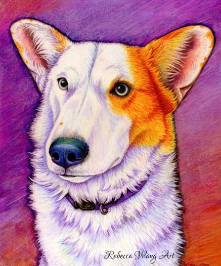 A pastel drawing of a corgi mixed breed dog with bright colors.