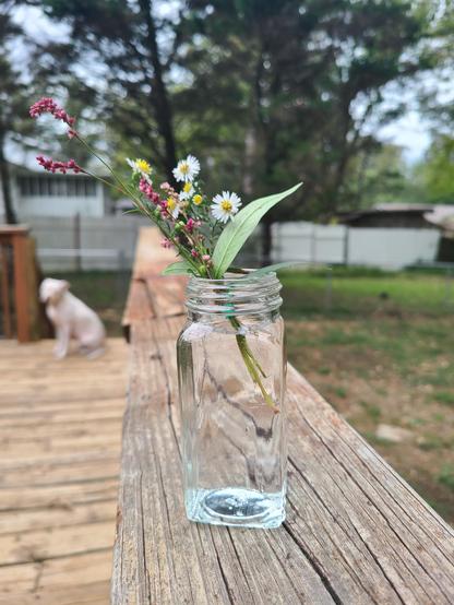 A small bouquet of pink, white, and yellow wildflowers sits in a clear glass jar on a weathered wooden deck railing, with a blurred white dog and green trees in the background.