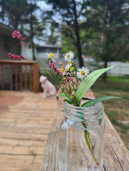 A small bouquet of pink, white, and yellow wildflowers sits in a clear glass jar on a weathered wooden deck railing, with a blurred white dog and green trees in the background.