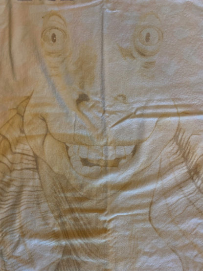 The mysterious Shroud of Otoh Gunga