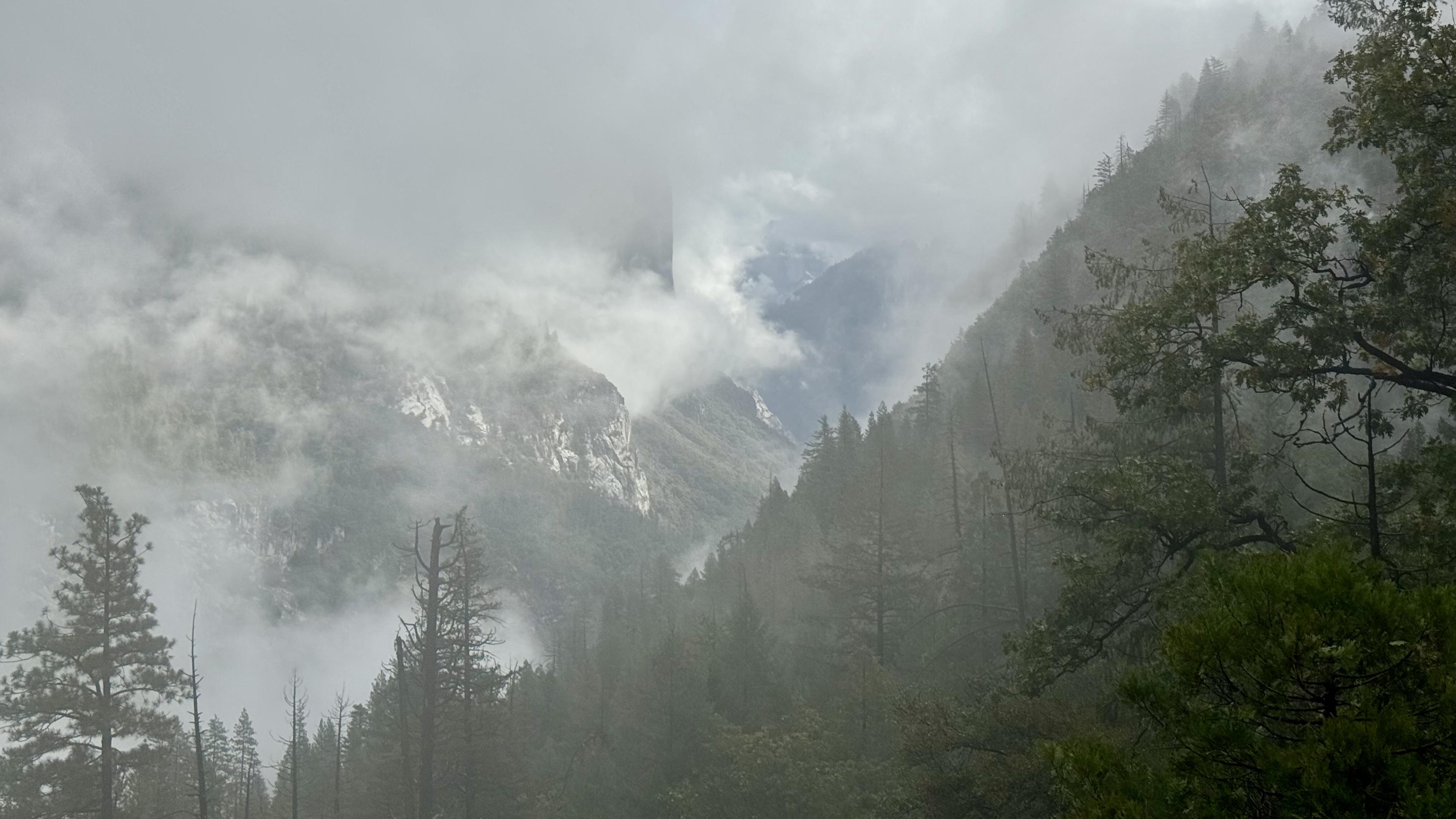 Steep mountain slopes covered in pine but occasionally bare rock. Everything quite wet from the fog and rain, still lingering. Half Dome partially visible in the back.