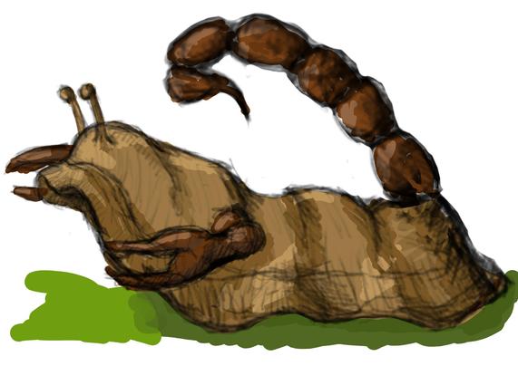 Digital hand drawn sketch of a fantasy creature, a hybrid slug-scorpion. 