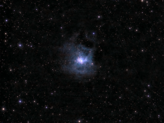 NGC 7023 The Iris Nebula - telescope processed image from the Odyssey Pro from April 2025. 24 minute duration. 