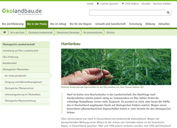 Screenshot Webseite Oktober 2025

Über Jahrhunderte war Hanf in Deutschland eine bedeutende Kulturpflanze.

Hanf stellt grundsätzlich keine besonderen Ansprüche an die Bodenqualität und gedeiht fast überall. Zufriedenstellende Erträge bringt er jedoch nur auf tiefgründigen, humosen, kalkhaltigen und nährstoffreichen Böden mit geregelter Wasserversorgung. Der pH-Wert sollte neutral bis leicht basisch sein. Staunässe und verdichtete Böden mag er gar nicht. Auch sehr leichte Sandböden und schwere Tonböden sind eher ungeeignet. Die Pflanze wächst gut unter hiesigen Temperaturbedingungen und übersteht auch leichte Fröste. 


https://www.oekolandbau.de/bio-in-der-praxis/oekologische-landwirtschaft/oekologischer-pflanzenbau/bio-anbausteckbriefe/oelfruechte/hanf/