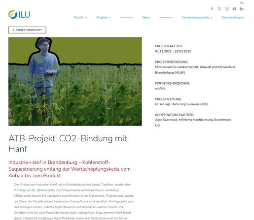 Screenshot Oktober 2025

ATB-Projekt: CO2-Bindung mit Hanf
Industrie-Hanf in Brandenburg – Kohlenstoff-Sequestrierung entlang der Wertschöpfungskette vom Anbau bis zum Produkt
Der Anbau von Industrie-Hanf hat in Brandenburg eine lange Tradition, wurde aber Anfang des 20. Jahrhunderts durch Baumwolle und Kunstfasern verdrängt. Mittlerweile bauen ihn Landwirte zum Beispiel in der Uckermark, Prignitz und Lausitz an. Denn die Vorteile dieser heimischen Faserpflanze sind deutlich. Hanf gedeiht auch auf sandigen Böden, liefert vergleichsweise viel Biomasse und die Fasern und Schäben sind für viele Produkte derzeit stark nachgefragt. Dazu kommt: Hanf bietet durch zahlreiche langlebige Hanf-Produkte sowie sein Wurzelvolumen ein hohes Kohlenstoff-Bindungsvermögen pro Flächeneinheit.  

https://www.ilu-ev.de/portfolio-items/co2-bindung-mit-hanf/