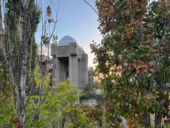 The Allan I Carswell Observatory domes with fall colors on the trees in the foreground