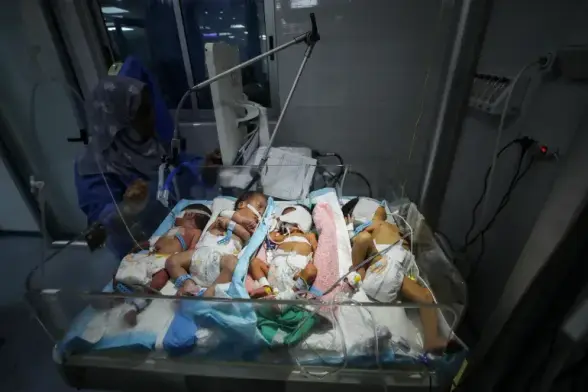 Four newborn babies sharing one incubator.
M. Issa