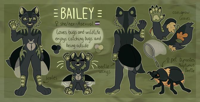 A reference for a cat and bug mix as an anthro character. This is a reference made for a character so others can draw them and understand their design better! A pet bug and other details are also shown too