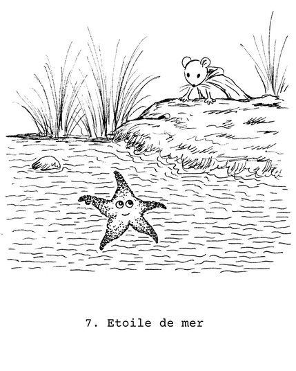 Inktober 2025 jour 7, Etoile de mer par Lysiane Binet