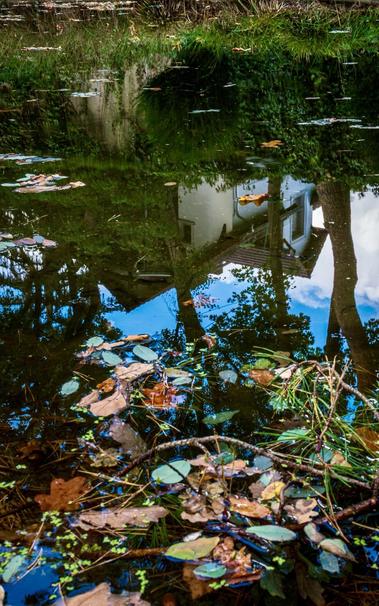 👁️ Autumn leaves in a pond reflecting the sky, trees, and a house
📍 Dr. Max Fraenkel Country Garden, Berlin-Kladow
📅 3 Oct 2025 
📸 Nikon D5600
⚪️ Nikkor DX 35 mm ƒ1.8G
🎞️ ISO 100, ƒ16, -1 ev, 1/8 (long exposure)