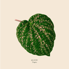 An image of the cover of the record album 'Tropics' by Quantic