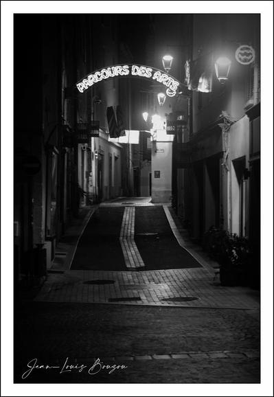 This black-and-white photograph captures a narrow street at night, illuminated only by sporadic street lamps. The street itself is paved with cobblestones, a hint at the historical or traditional setting of the area. Down the center of the pathway runs a distinct line of bricks or stones, creating a subtle guiding line that draws the eye deeper into the scene.
Above the street, a glowing sign reads "PARCOURS DES ARTS," which translates from French to "Route of the Arts." This name evokes a sense of cultural richness, possibly indicating that the alley is near galleries, studios, or places tied to artistic expression. The illumination of this sign adds a focal point to the image, contrasting with the shadow-heavy surroundings.
The high contrast of light and shadow, the empty street, and the monochrome palette together evoke a sense of mystery and quiet solitude. This scene could symbolize a journey or passage, both literal and metaphorical, through an artistic or intellectual space. The lighting and composition enhance the inviting yet enigmatic atmosphere typical of older European cities after dark.
Artistically, the photo plays with light as a guiding element and shadows to create depth, embodying the essence of street photography where the environment itself tells a story. 