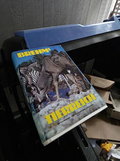 Das Buch 'Brehms Tierreich' am Rand eines Altpapier-Müllcontainers