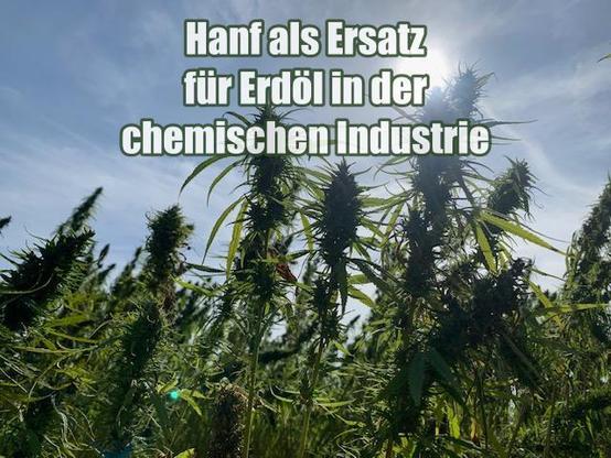 Hoher Biomasse-Ertrag

Hoher Gehalt an Cellulose

Nachhaltigkeit und Umweltfreundlichkeit

Potenzielle Anwendungen von Hanf in der chemischen Industrie

Hanf für Biokunststoffe

Farben, Lacke und Klebstoffe

Textilien und Verbundstoffe

Energiegewinnung

Wirtschaftliche Vorteile von Hanf gegenüber Erdöl

Unabhängigkeit von fossilen Ressourcen

Kosteneffizienz durch lokale Produktion

Wachsender Markt für nachhaltige Produkte