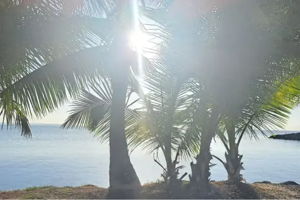 A Bonaire, la chaleur est de plus en plus insoutenable, tandis que le risque de submersion s'accroît - 10/2025.
