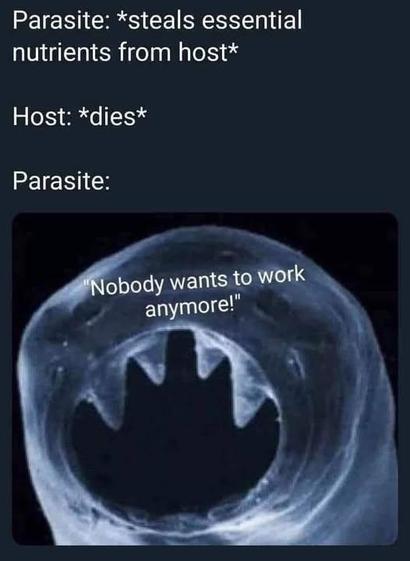 Parasite: *steals essential nutrients from host* 

Host: *dies* 

Parasite: [pic of terrifying parasite] Nobody wants to work anymore!