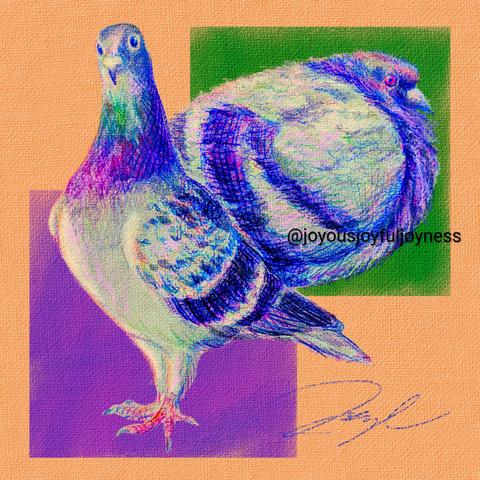 Painting of two pigeons on a light orange background. On the left is a pigeon standing tall and looking at the viewer with a purple square behind it. On the top right is a chonky borb of a pigeon in profile looking to the right with a green square behind it. At the bottom right is the artist's signature and above is the artist's watermark @joyousjoyfuljoyness.