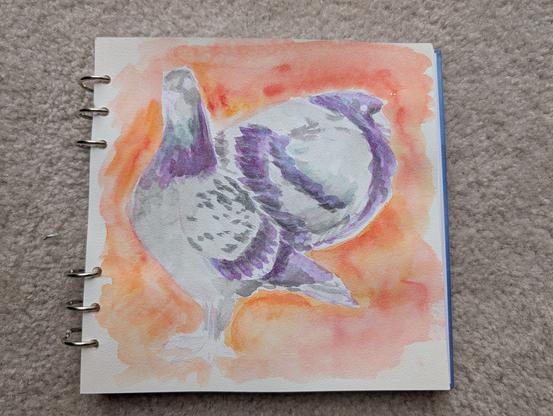 Photo of a first pass with watercolor in a sketchbook of two pigeons. The left one is standing tall and looking at the viewer. The right one is crouching in a borb shape and looking at the right. The background is orange.