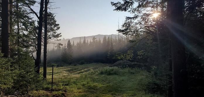 LAND ON LUCKY WAY IN SARANAC LAKE
Lot