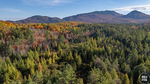 LAND ON LUCKY WAY IN SARANAC LAKE
Aerial Of Lot