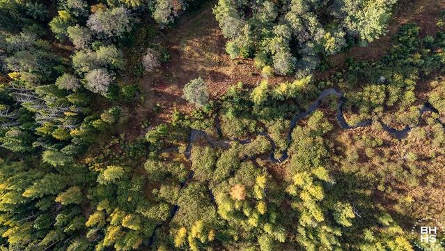 LAND ON LUCKY WAY IN SARANAC LAKE
Above Lot Brook