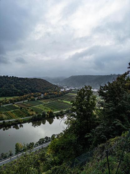 A view along a river in a steep-sided valley, with vineyards down near the water. There is a road below, seen from near the top of the valley wall. The valley sides are covered in trees and the sky is full of clouds and drizzle.