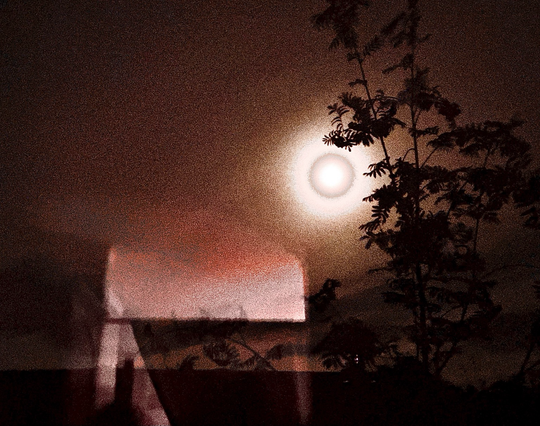 A night time photo I took out the kitchen window last night, reflections in the glass.