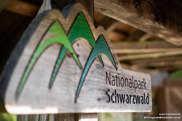 A wooden sign with a green and blue design is featured in this image. The sign is outdoors, against a background of brown and grey. . The sign has writing on it, adding a personal touch to the design. The image is not black and white. There are no objects, faces, celebrities, or landmarks present in the image. The image falls under categories such as text and outdoor. The image is not adult, racy, or gory in content.