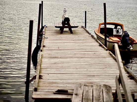 Ein kleiner Holzsteg mit einer Bank am Ende, auf der Lehne sitzt eine Möwe. Rechts liegt ein kleines Motorboot vertäut. Dyvig, DK