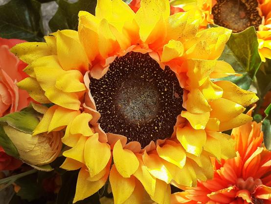#Blumen #flowers #flores #florespondence #florès #fleur #fleurs 
#flower #flowerpower #flowerphoto #yellowflower #flowerpic #flowerpics 