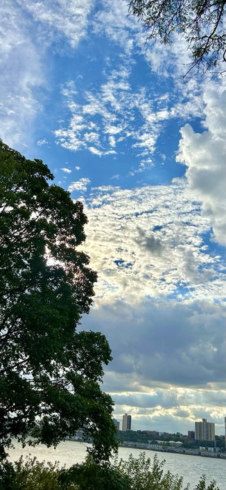 A deciduous tree faces clouds with blue sky and sunshine pouring through 