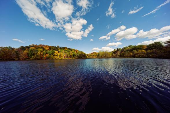 The bottom of the frame is a lake with ripples running left to right, above that rises a forest of various colored trees with yellow, orange, red and green well represented and blue sky with clouds above