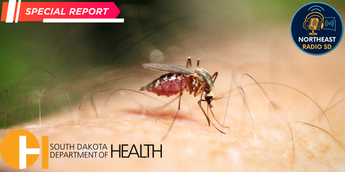 Close-up of a mosquito on skin. Logos: South Dakota Dept. of Health, Northeast Radio SD. Red "Special Report" banner on top left.