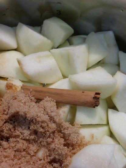 Chopped apples with a small cinnamon stick and brown sugar in a metal pot.