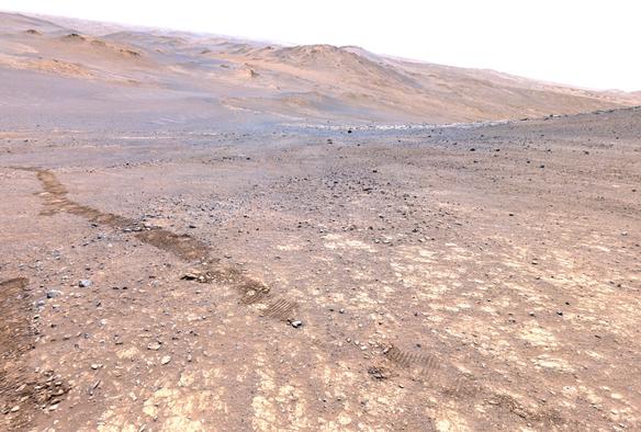 A Martian landscape with rover tracks.