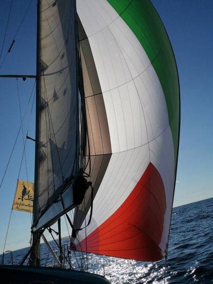 🇵🇸🕊️⛵  La flottille #ThousandMadleensToGaza a été arrêtée illégalement et kidnappée par Israel dans les eaux internationales.
➡️ https://confederationpaysanne.fr/actu.php?id=16022
La paysanne Claude Girod, membre de la #ConfédérationPaysanne, se trouvait à bord du navire l'Abd Elkarim Eid, baptisé en hommage à un paysan palestinien qui avait consacré sa vie à préserver la mémoire culturelle et agricole de son peuple.
➡️ https://confederationpaysanne.fr/actu.php?id=15978

#1000Madleens 

@1kmadleenfr @viacampesina_fr@movimientos.social  @DefendingUNDROP @lessoulevements@piaille.fr 