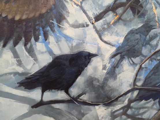 another close-up photo of several crows and the bottom section of one of the owl's wings 