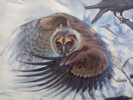 a close-up photo of the owl 