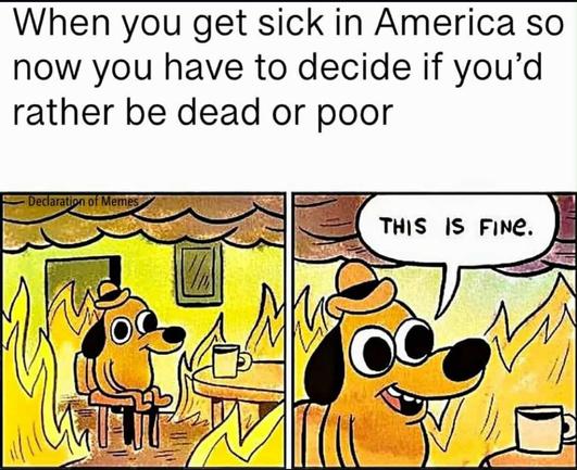 When you get sick in America so now you have to decide if you'd rather be dead or poor

[the dog in the fire with his coffee meme and he says this is fine]
