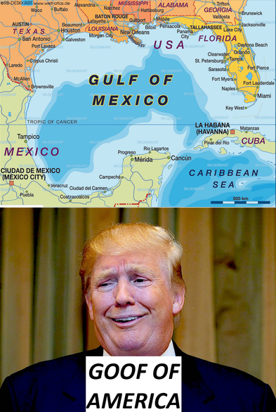 Picture of the Gulf of Mexico on top and a picture of Donald Trump on the bottom titled: Goof of America