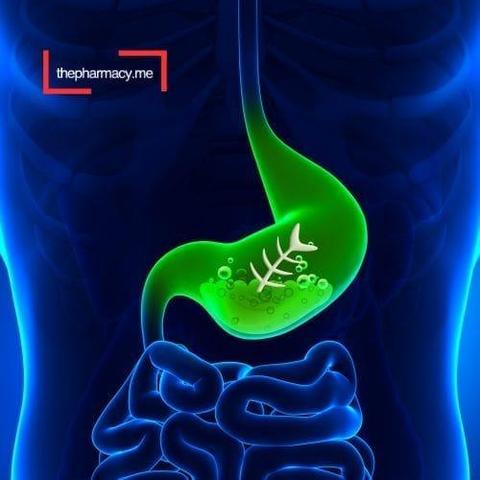 صورة توضح شكل جرثومة المعدة