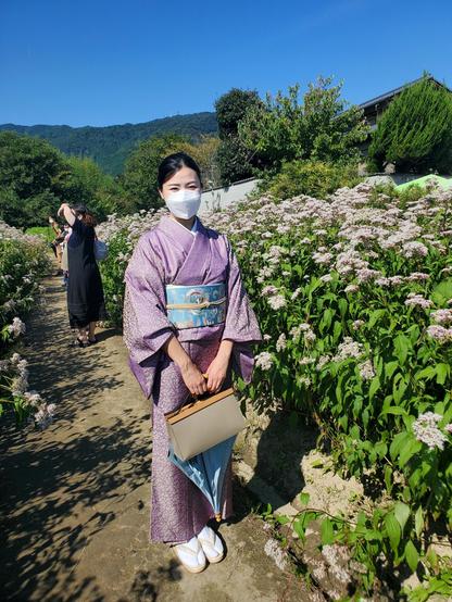 Nao-san enjoys a field of fujibakama south of the city.
