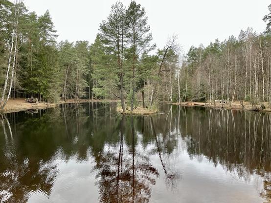Blick auf einen See umgeben von Bäumen.
