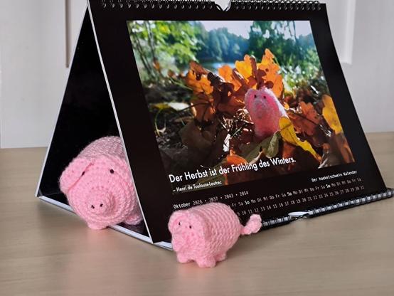 In einem Kalender, der wie ein Zelt aufgestellt ist, sitzt ein großes haekelschwein und daneben ein kleines. Auf der sichtbaren Kalenderseite ist ein haekelschwein im Herbstlaub abgebildet.