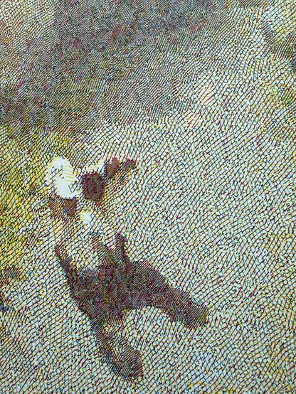 RSTR CMY Pet Plot Detail