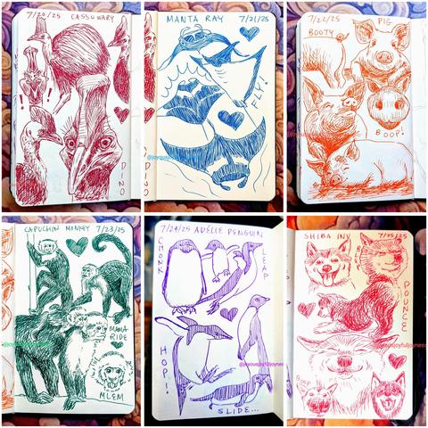 Compilation of 6 sketchbook pages of drawings of animals in pen, including the Cassowary (red), Manta Ray (blue), Pig (orange), Capuchin Monkey (green), Adelie Penguin (purple), and Shiba Inu (pink).