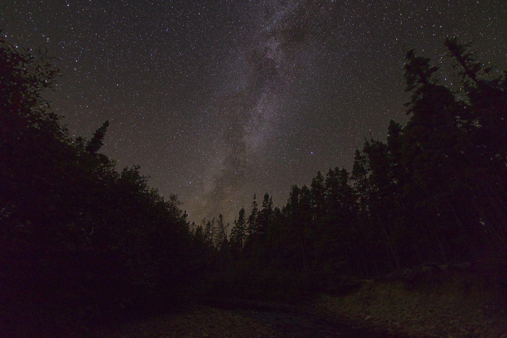 A night landscape scene. Looking down a brook from an embankment. There are tall trees on both sides. The brook and rocky shoreline are faintly visible.
Above the trees is a night sky full of stars. The Milky Way is rising up from the center of the image and leaning right.